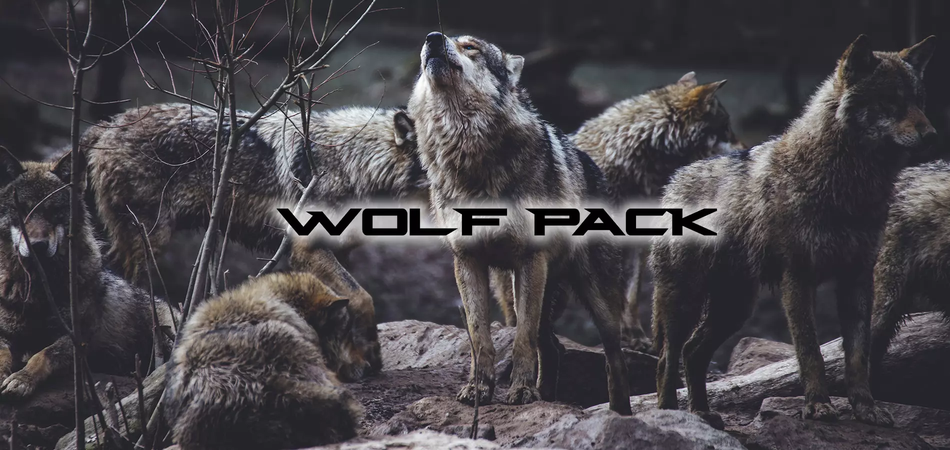 Cherokee Wolf Pack RVs